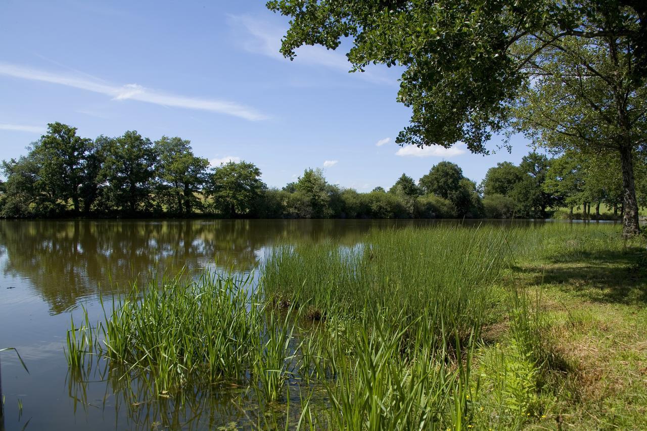 La Maison Du Lac Thionne Εξωτερικό φωτογραφία
